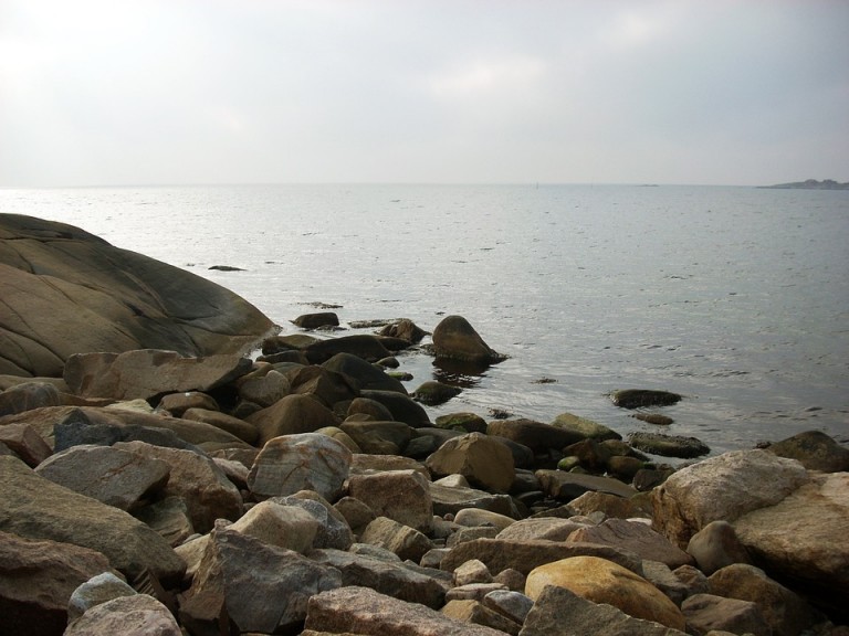 Swedish-coast-768x576